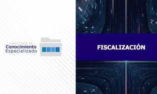 Conozca el Directorio Conocimiento Especializado: Fiscalización